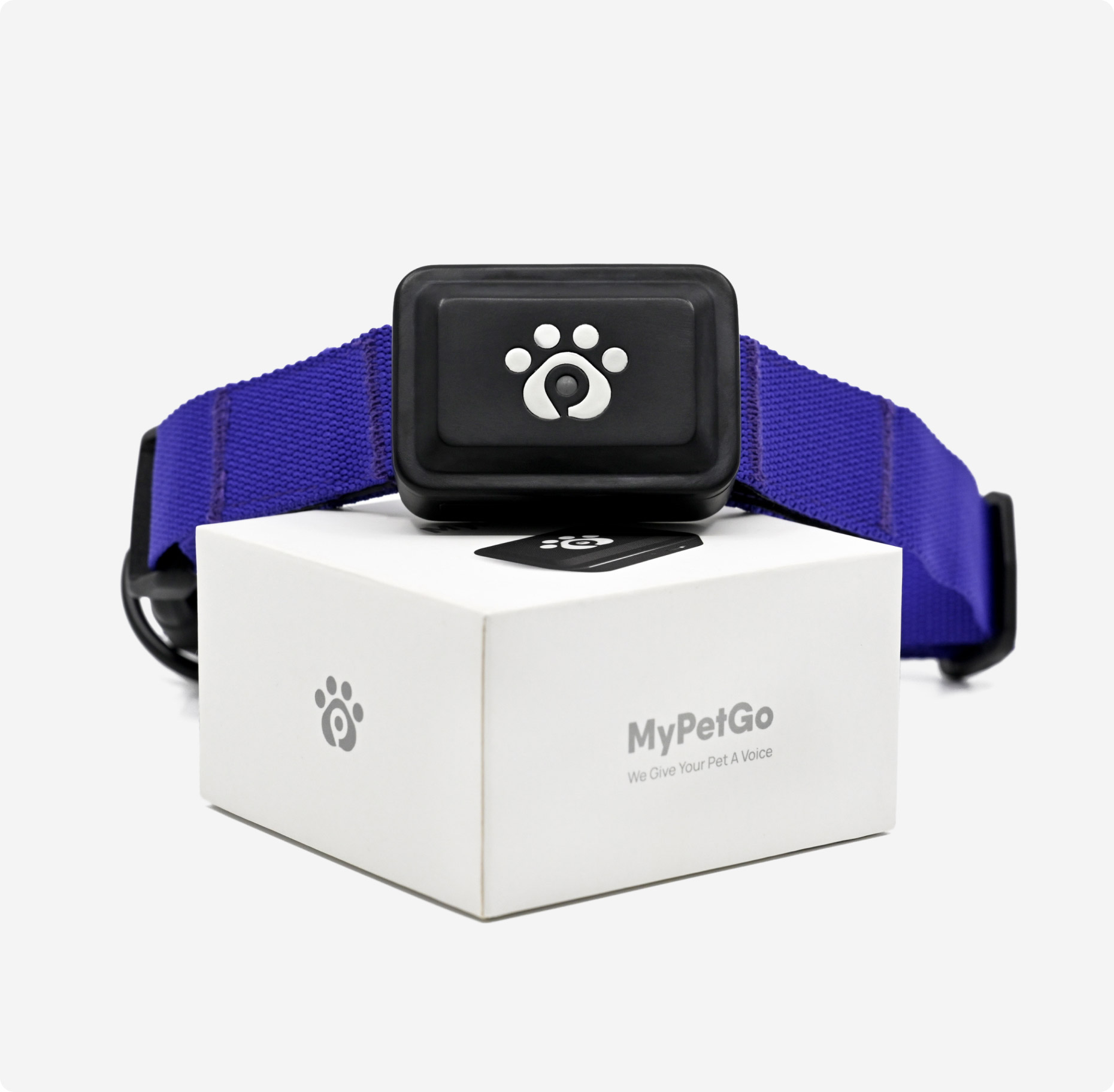 Health And Wellness Monitor For Better Insight On Your Pet │ MyPetGo -  Doobert LIVE